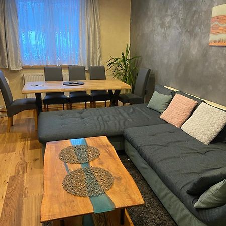 Apartman Orlicke Hory Orlicke Zahori Exterior photo