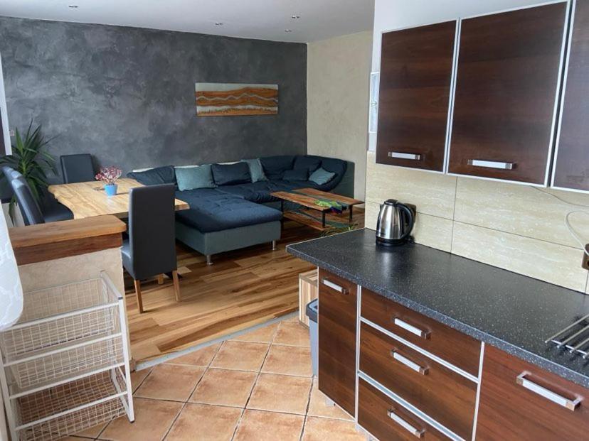 Apartman Orlicke Hory Orlicke Zahori Exterior photo