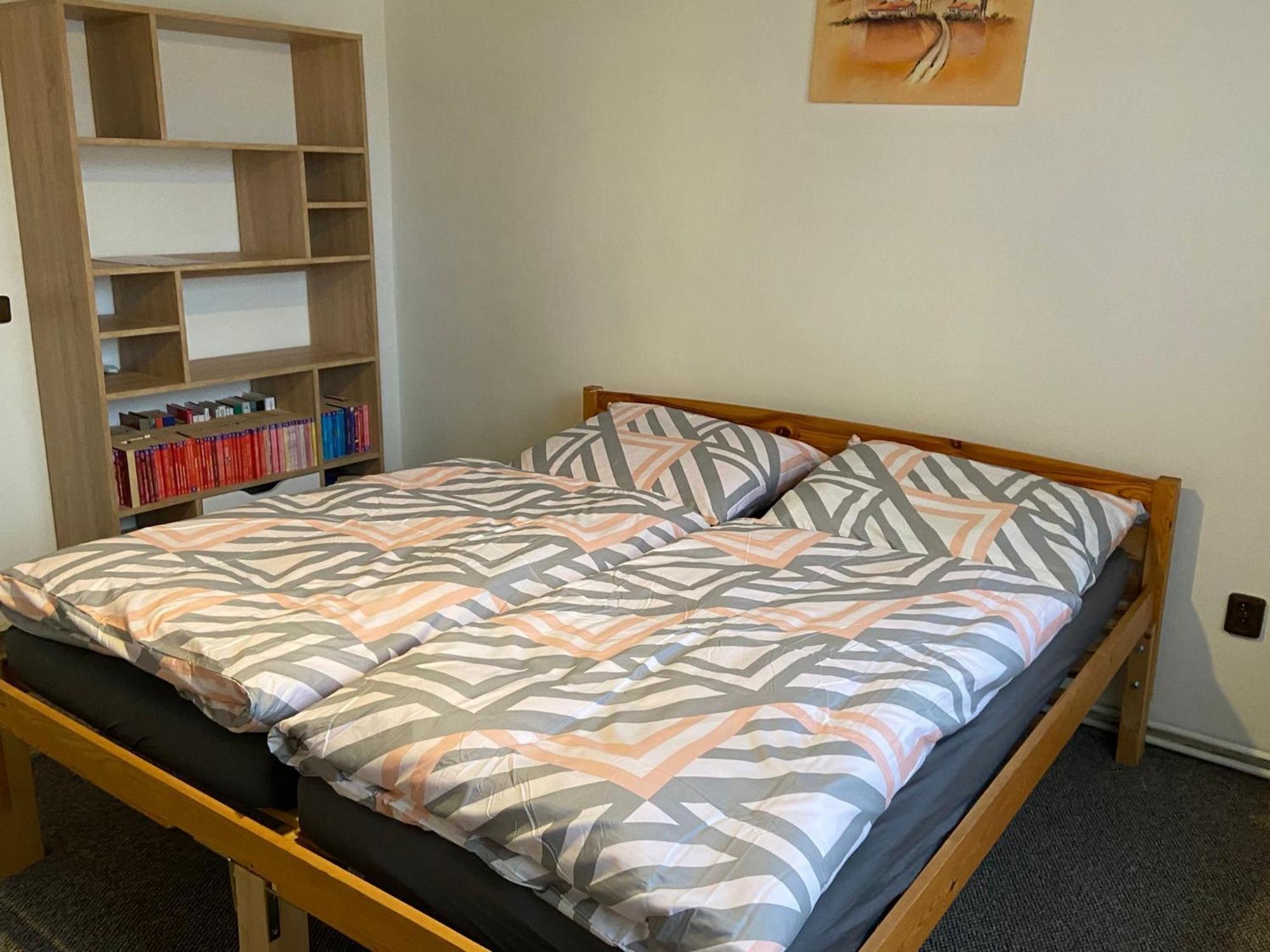 Apartman Orlicke Hory Orlicke Zahori Exterior photo