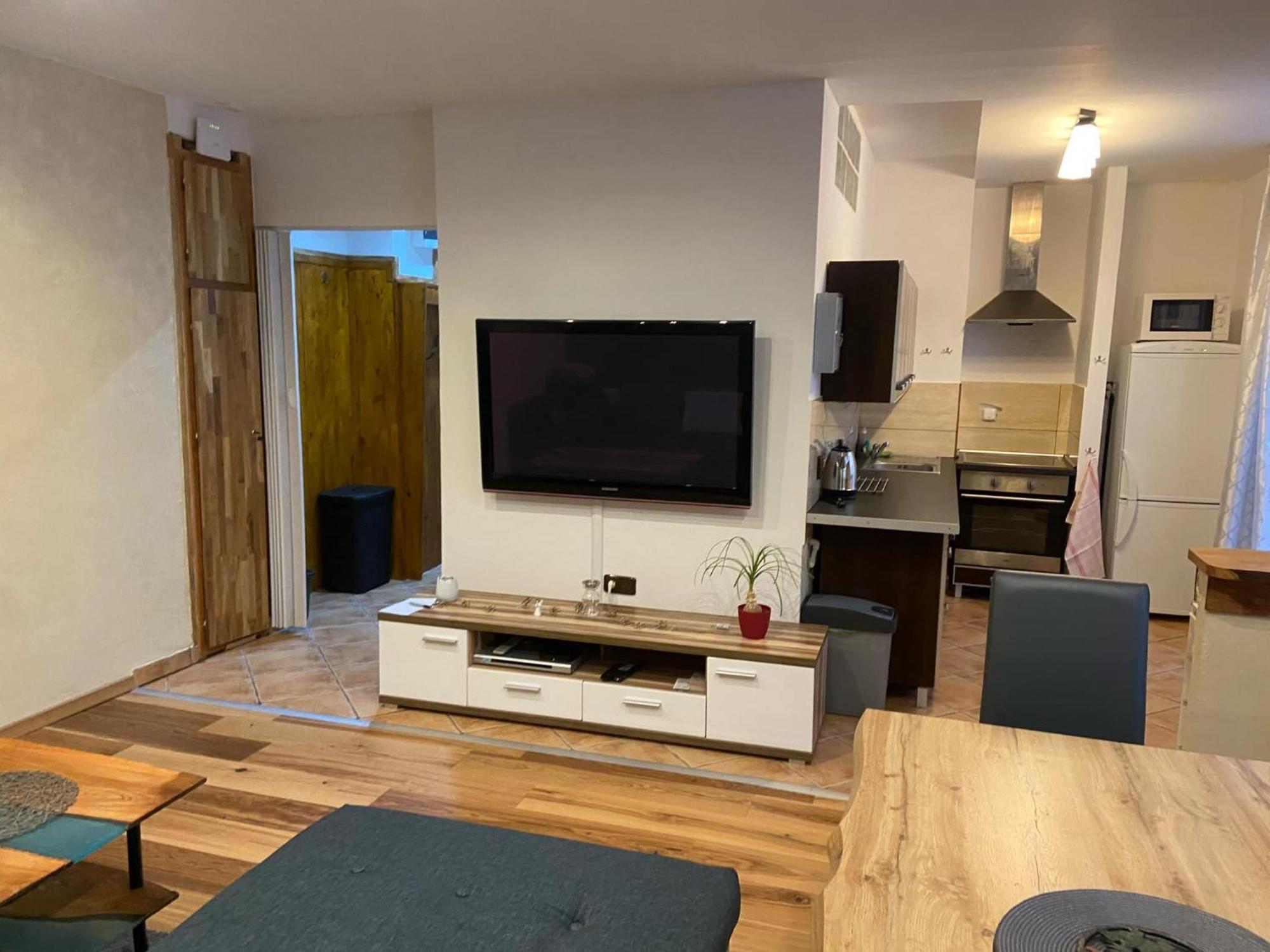 Apartman Orlicke Hory Orlicke Zahori Exterior photo
