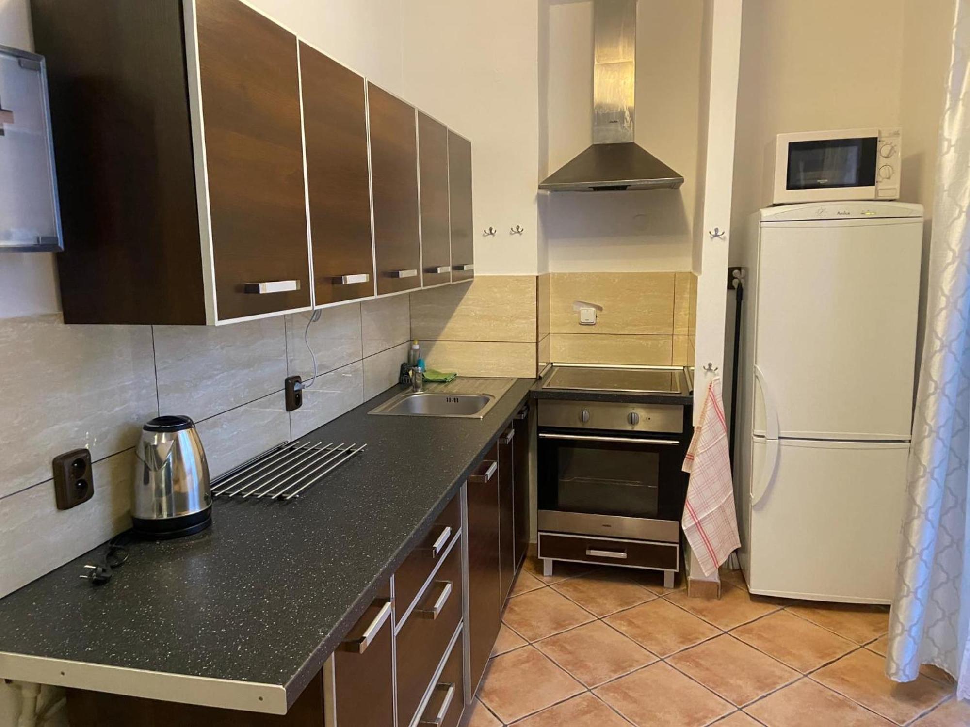 Apartman Orlicke Hory Orlicke Zahori Exterior photo